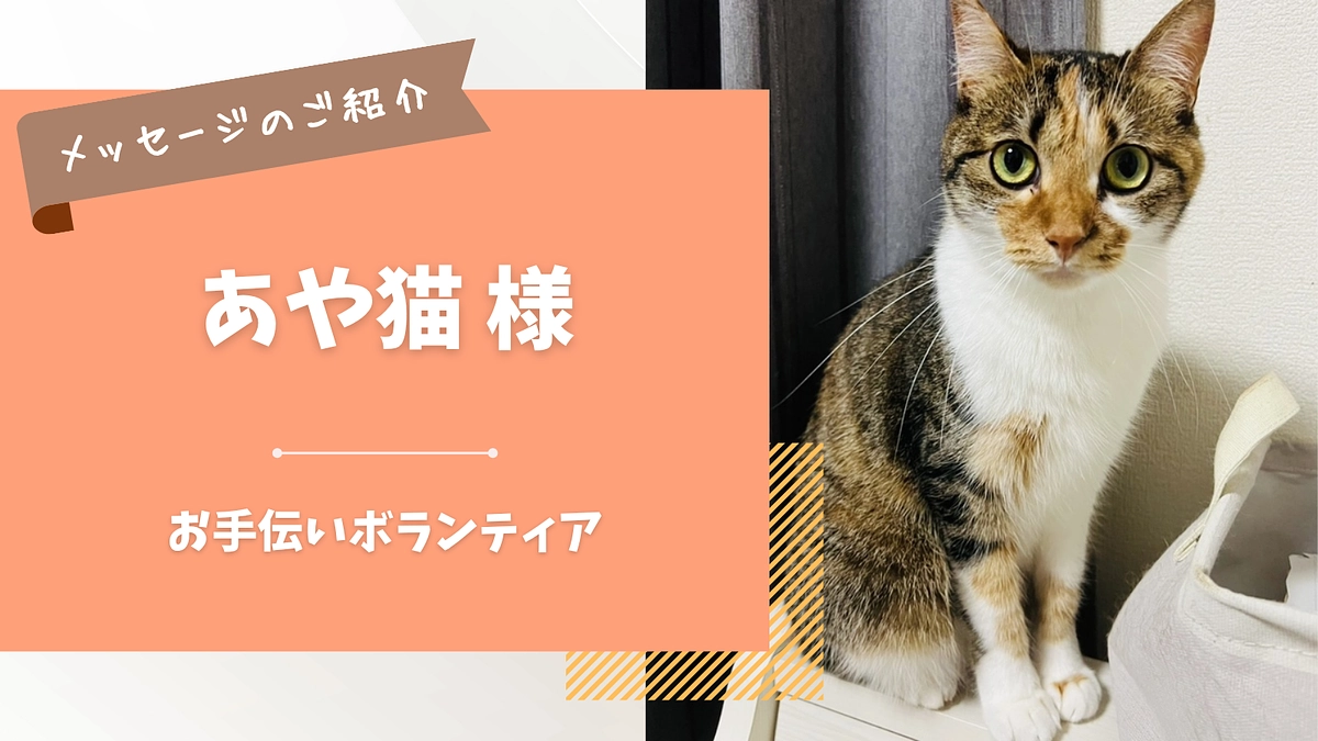 応援メッセージのご紹介｜あや猫 様（お手伝いボランティア）