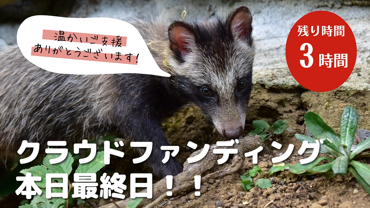 【御礼】850万円達成！！ 終了まであとわずか……！！