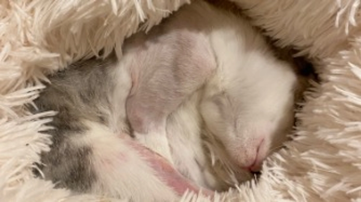 包帯がとれました。