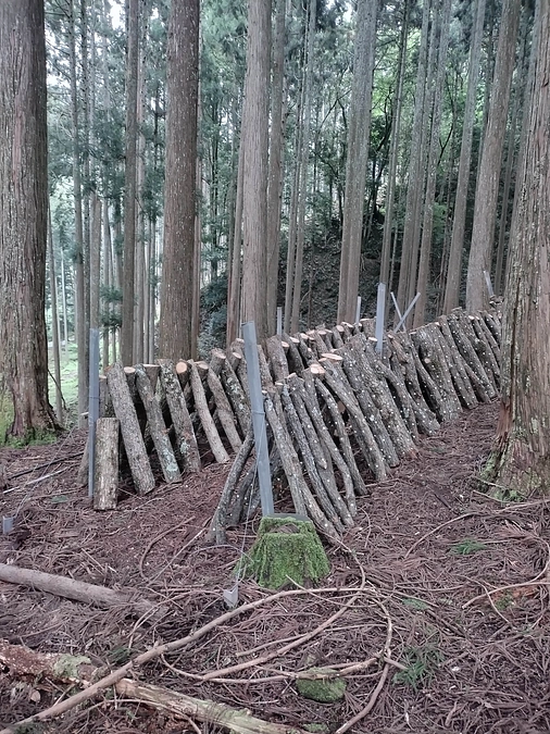 リターンの準備をしています！②【残り5日】