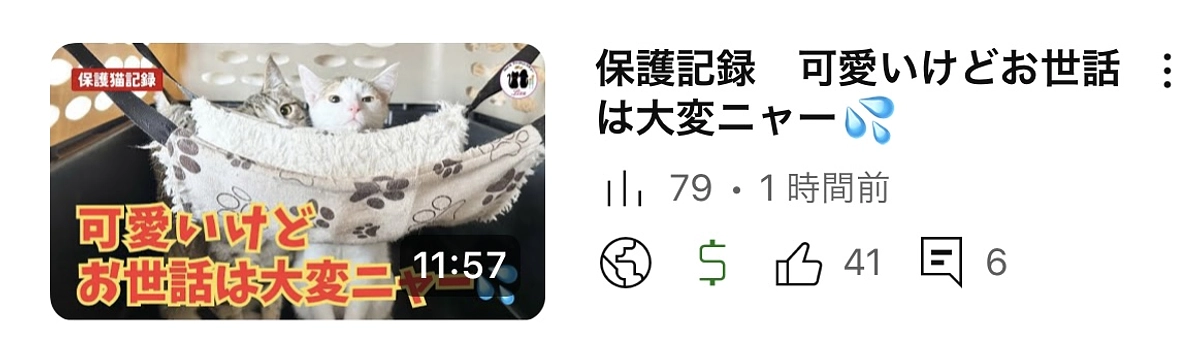 可愛いけどお世話大変です💦