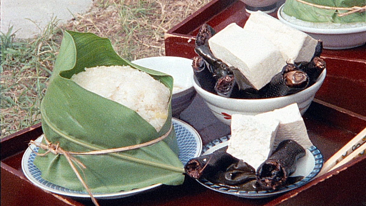 川崎 賢子様から応援コメントをいただきました。