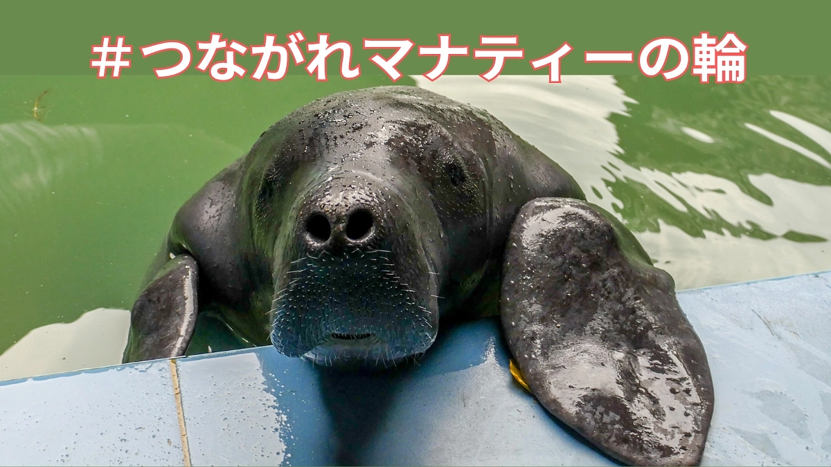 50%達成しました！