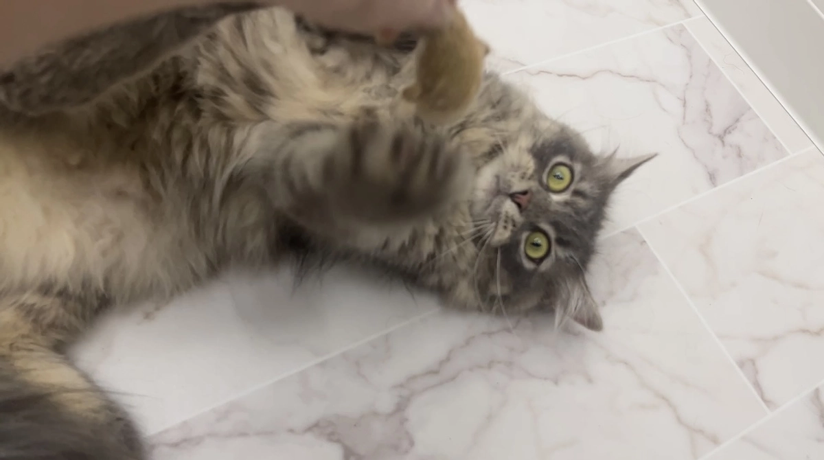 投薬24日目　大親友と再開