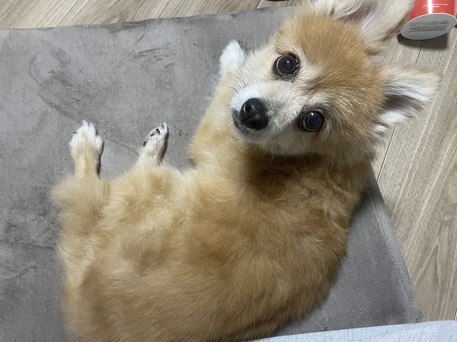 🆘残り9日達成度14%🆘