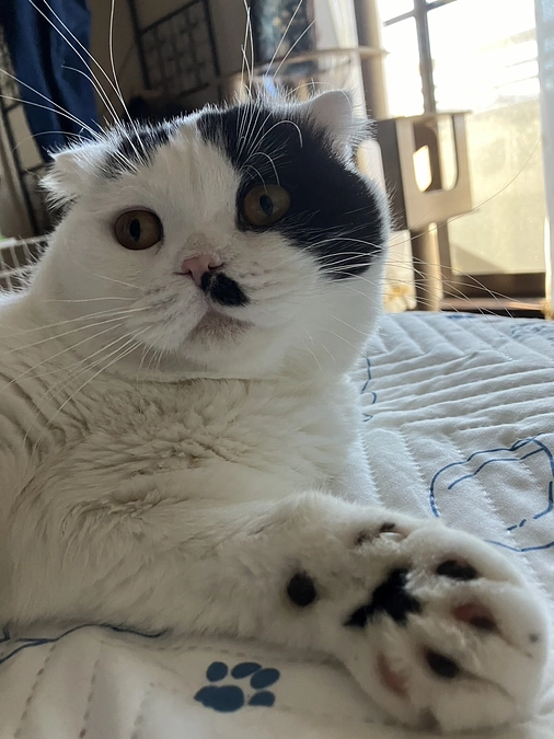 クラウドファンディング12日目