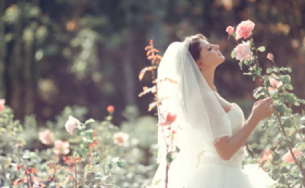 【3,000円コース】サンクスメール