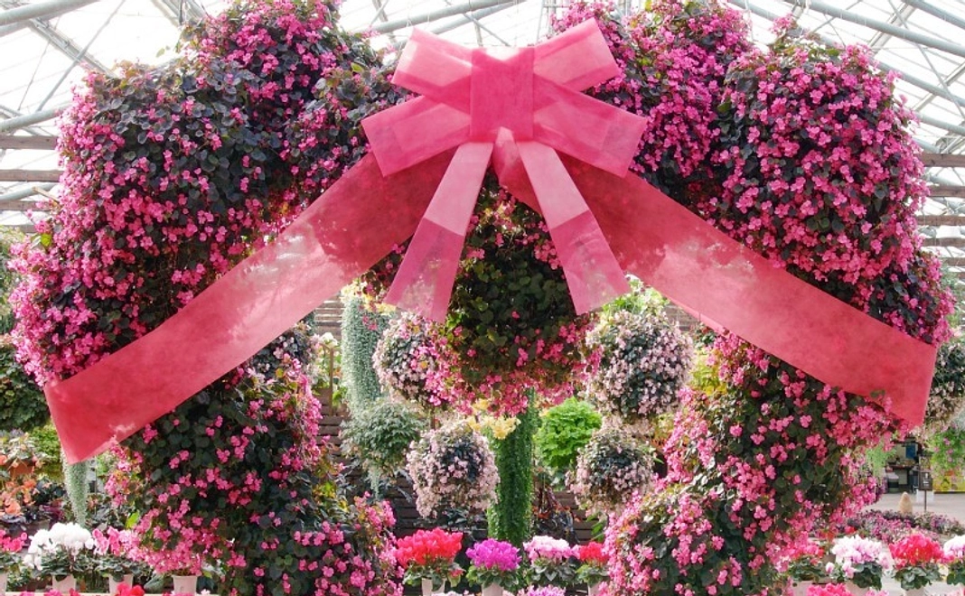 ご縁感謝のメール・活動報告 ご縁を頂いた感謝のメールをお送りします②