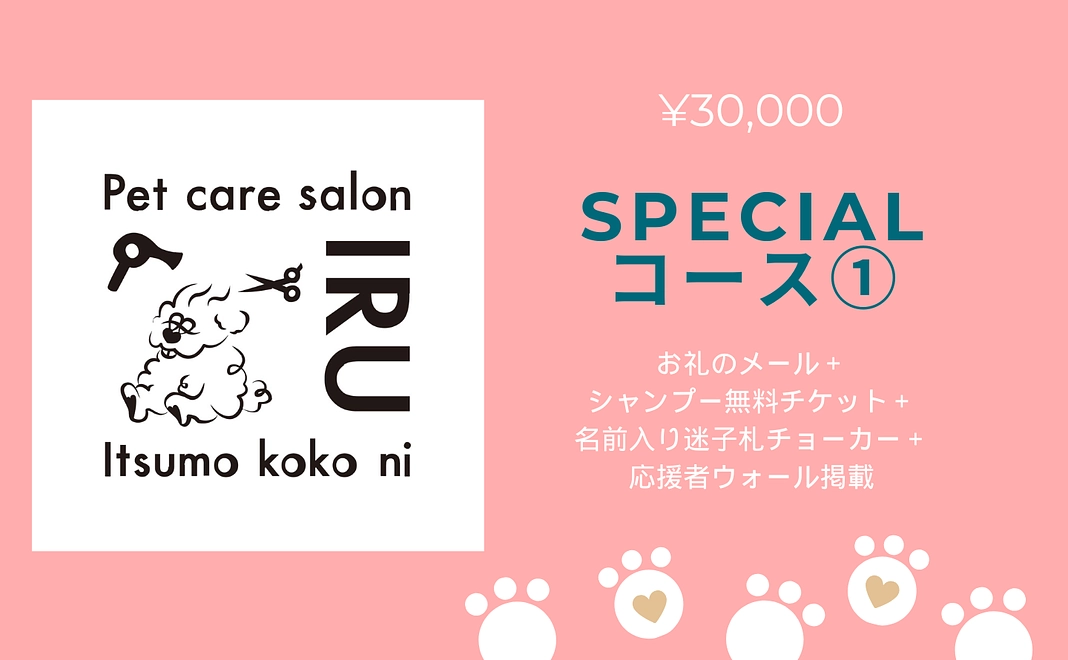 お礼のメール+シャンプー無料チケット+名前入り迷子札チョーカー+応援者ウォール掲載