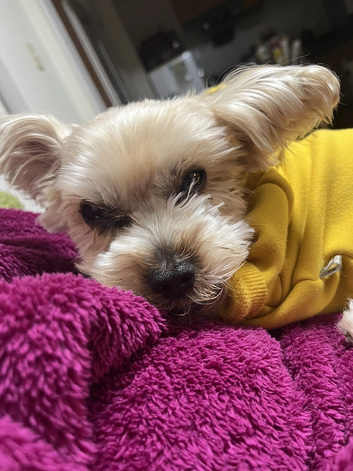 支えてくださった皆様へ