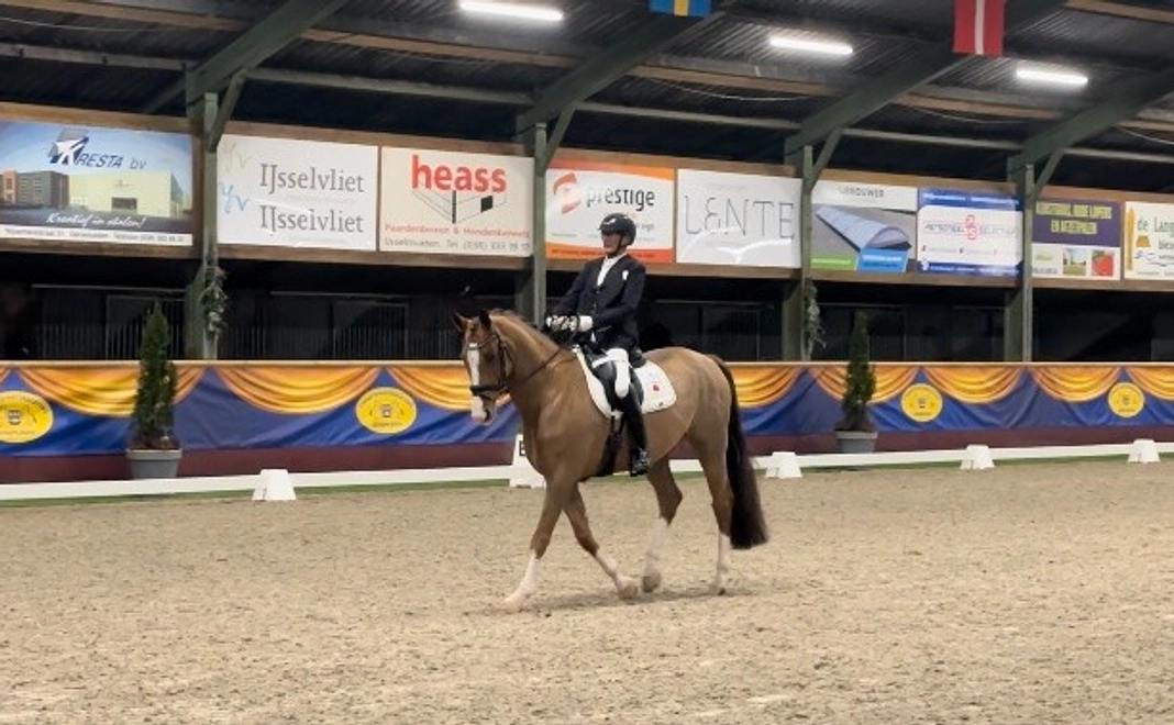 お気持ちコースA