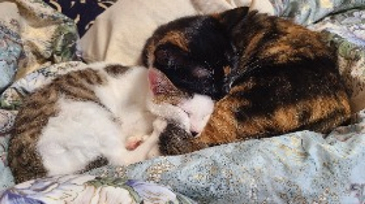 達成率80%になりました。