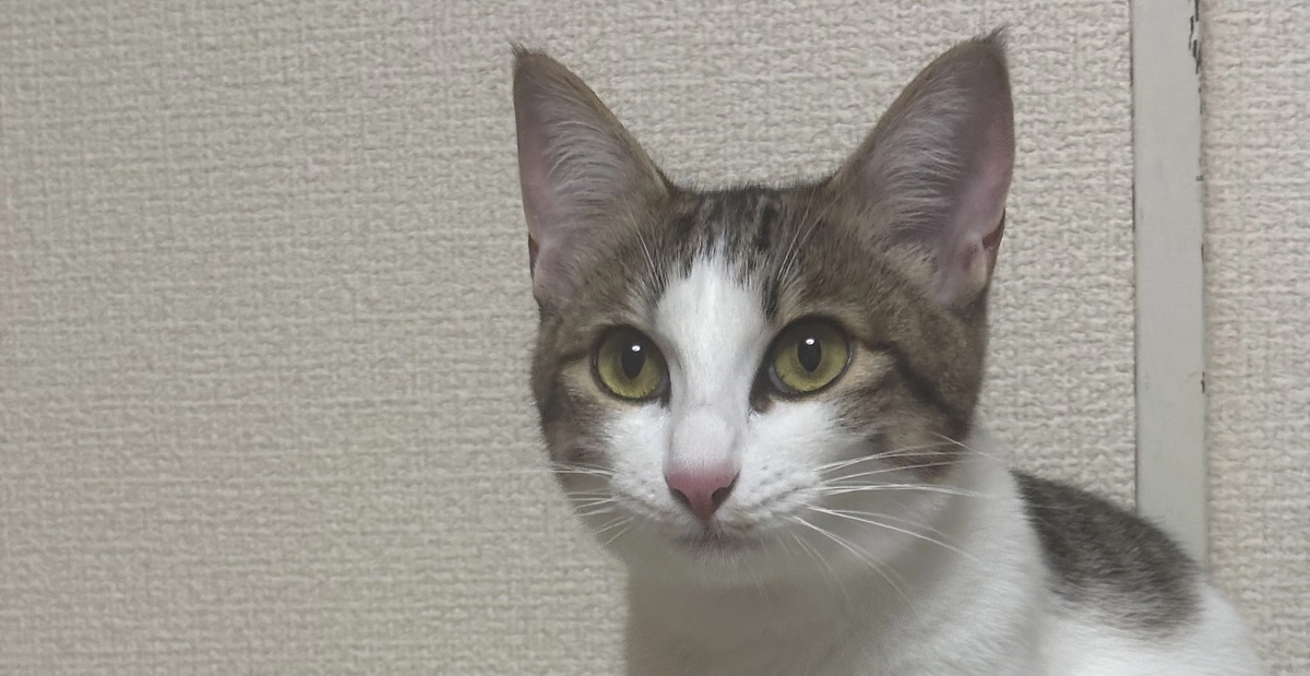 投薬67日目のご報告