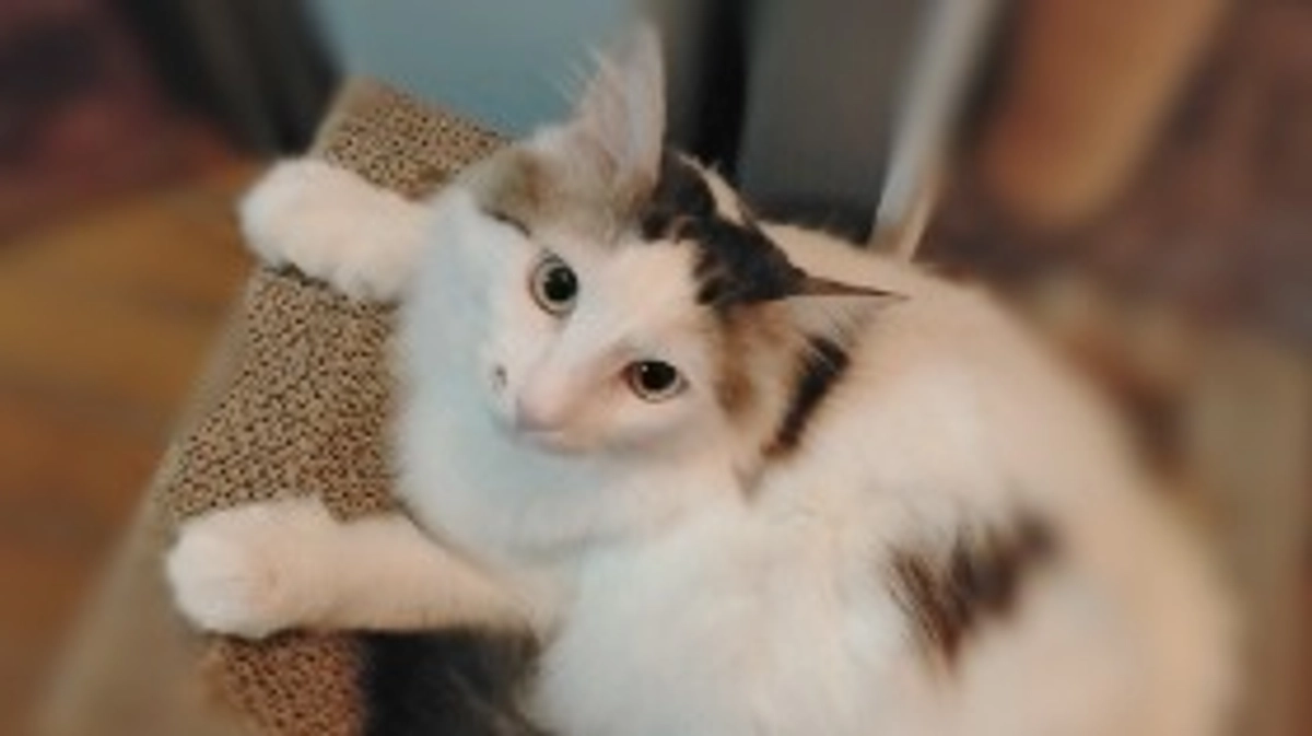 経過観察④2023.9.30~10.13間