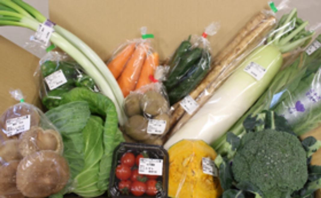 【Readyfor限定】産地直送・岩手県産！旬のお野菜セット！