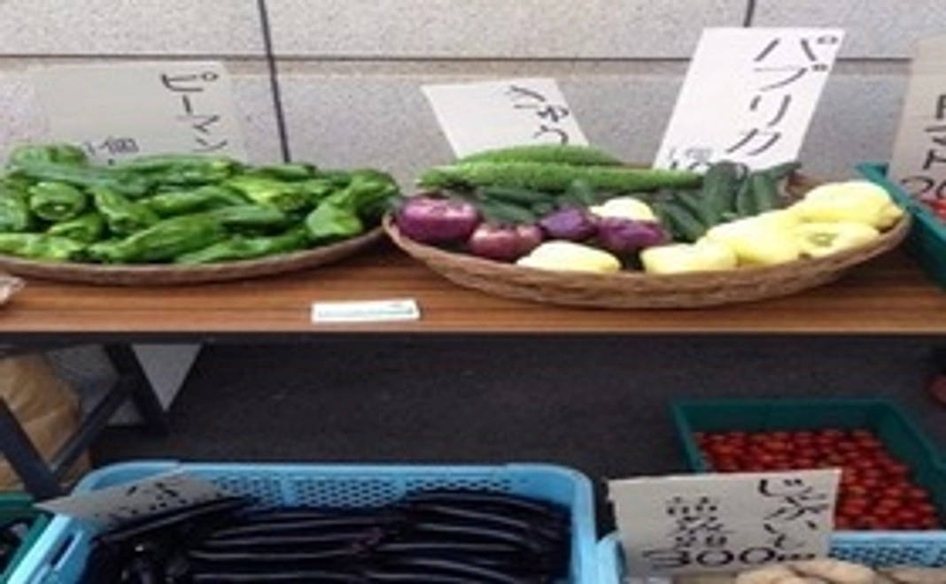 栃木県那須塩原産の朝採れ野菜詰め合わせ
