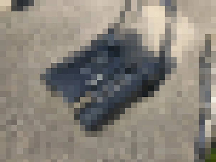 2か月ぶりの再会