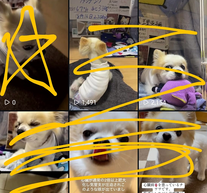 達成後ありがとうございましたライブ