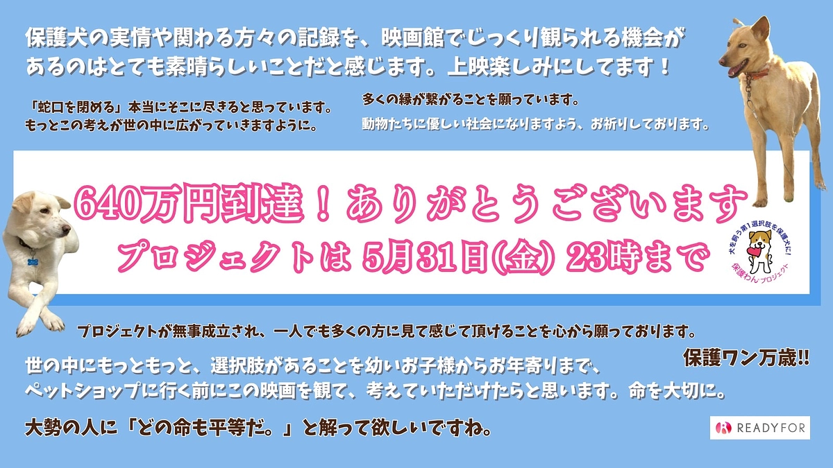 【あと1時間を切りました！最終目標まであと33万円！】皆様の思いを胸に、最後まで走り切ります！