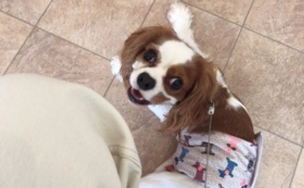 ジジがんばれ！