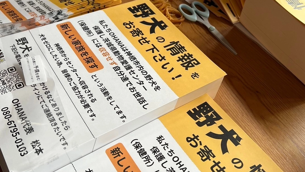 ポスティング大会に向けてチラシ折り！！