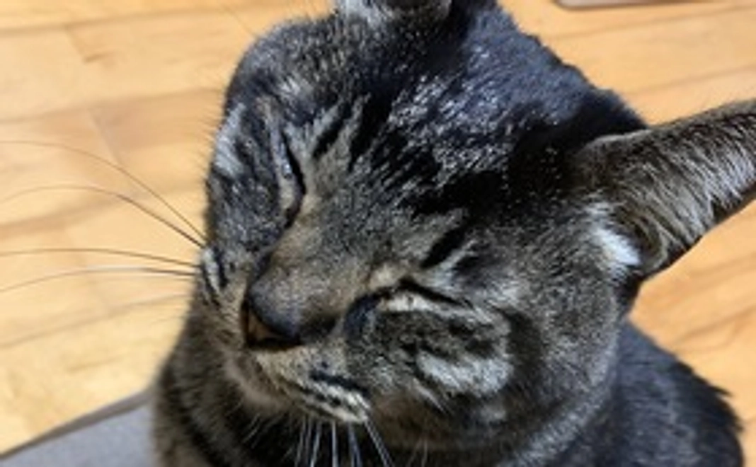 😁感謝のメール