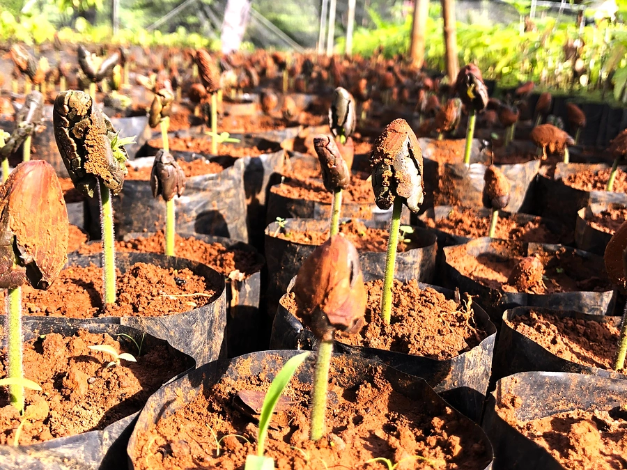 新ナースリーが1ヵ所完成しました♪