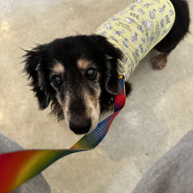 抜歯について🦷