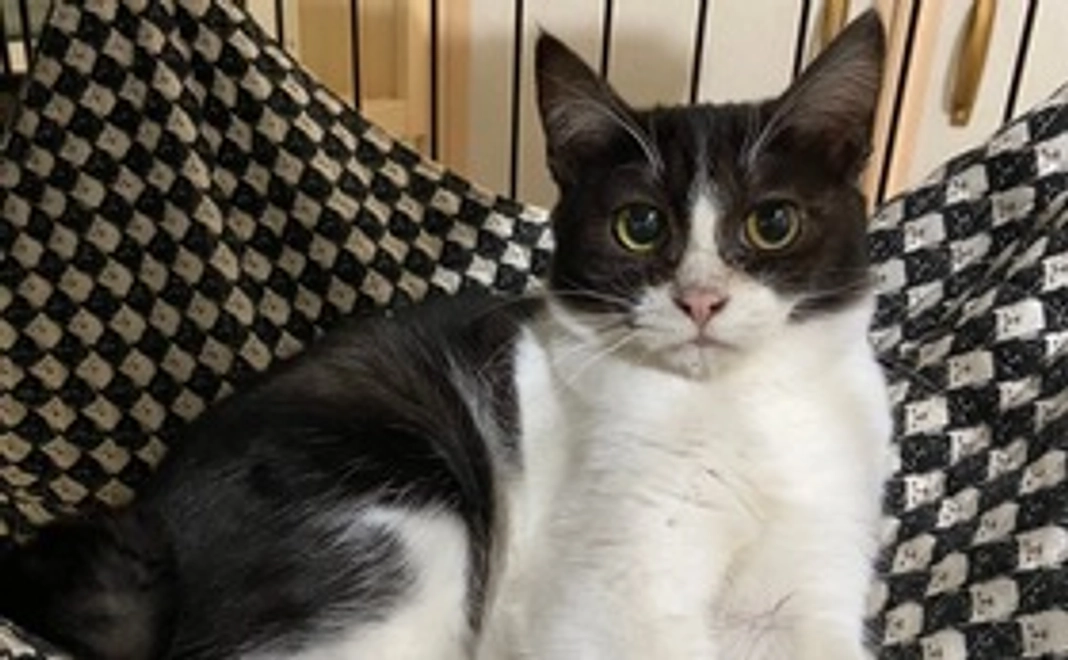 ポトリ応援! 1,000円コース