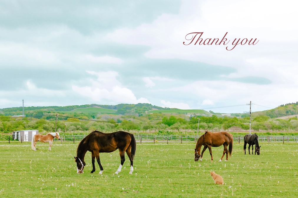 応援メッセージのご紹介④