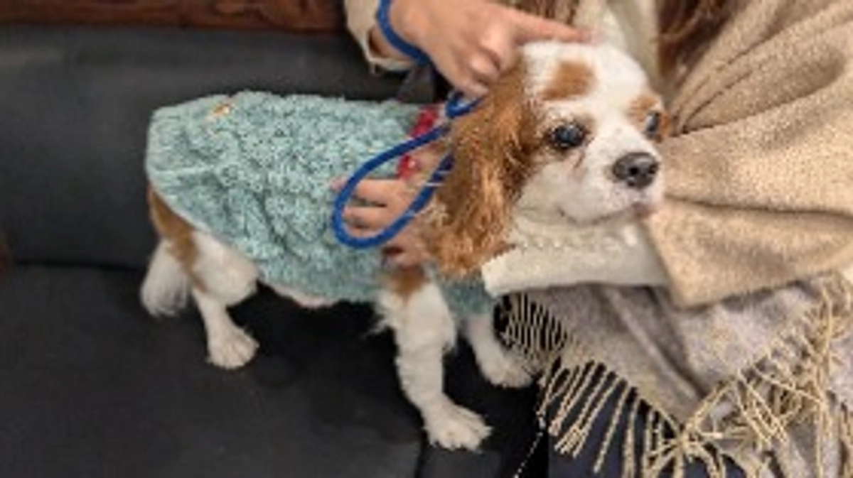 2ヶ月検診に行ってきました🏥