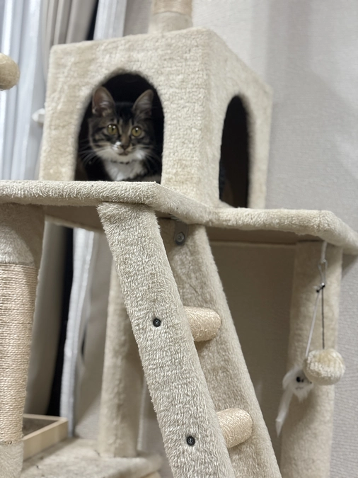 11月6日、投薬44日目💊クラウドファンディング残り18日。