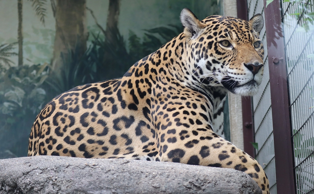 【控除対象】30,000円応援コース