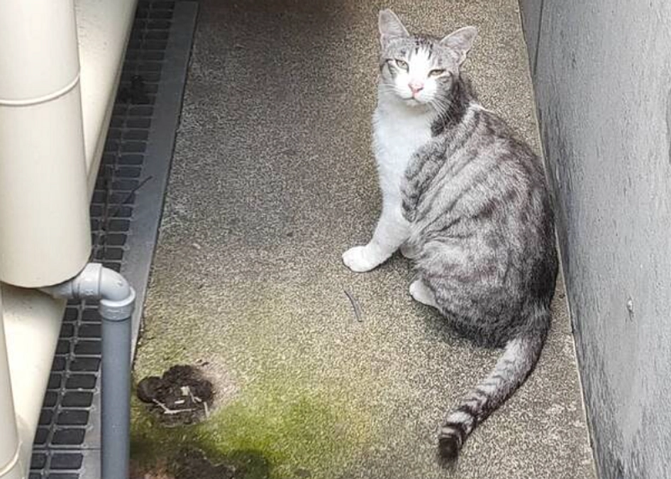 【あと8日！】ボランティアスタッフによる応援リレーVol7