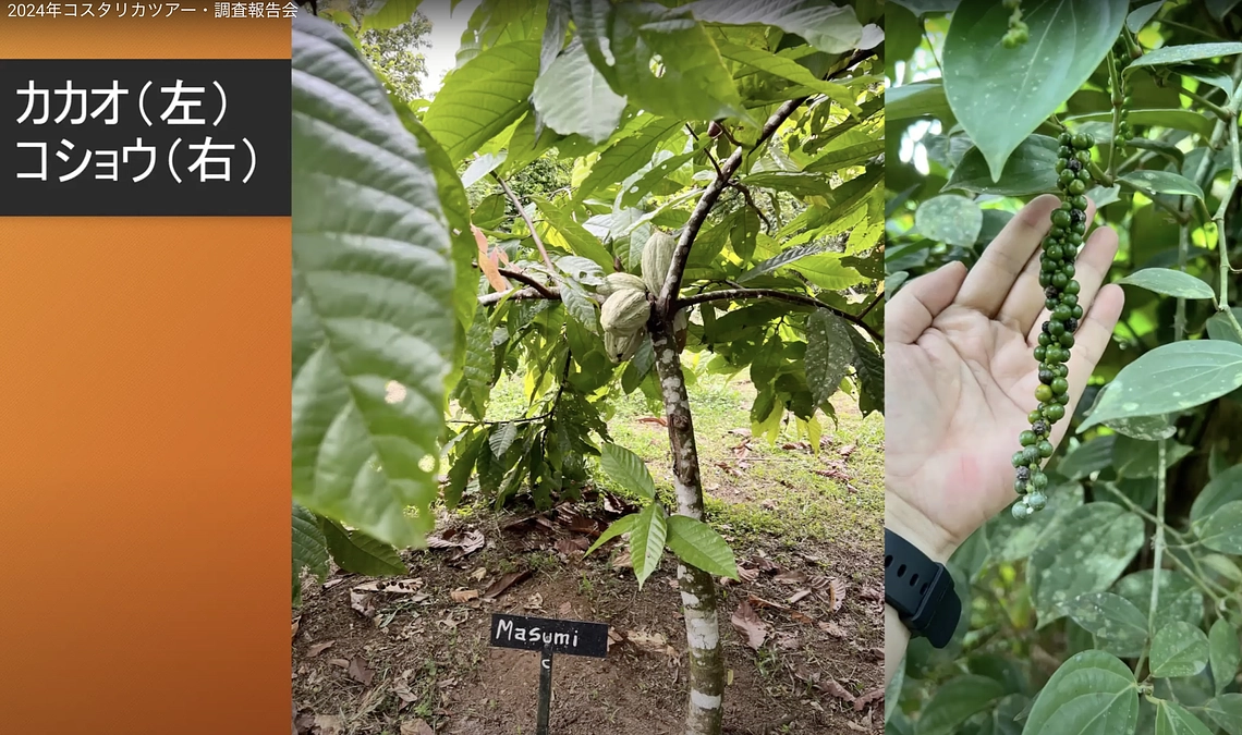 【見逃し動画配信】コスタリカツアー・現地調査報告を行いました！