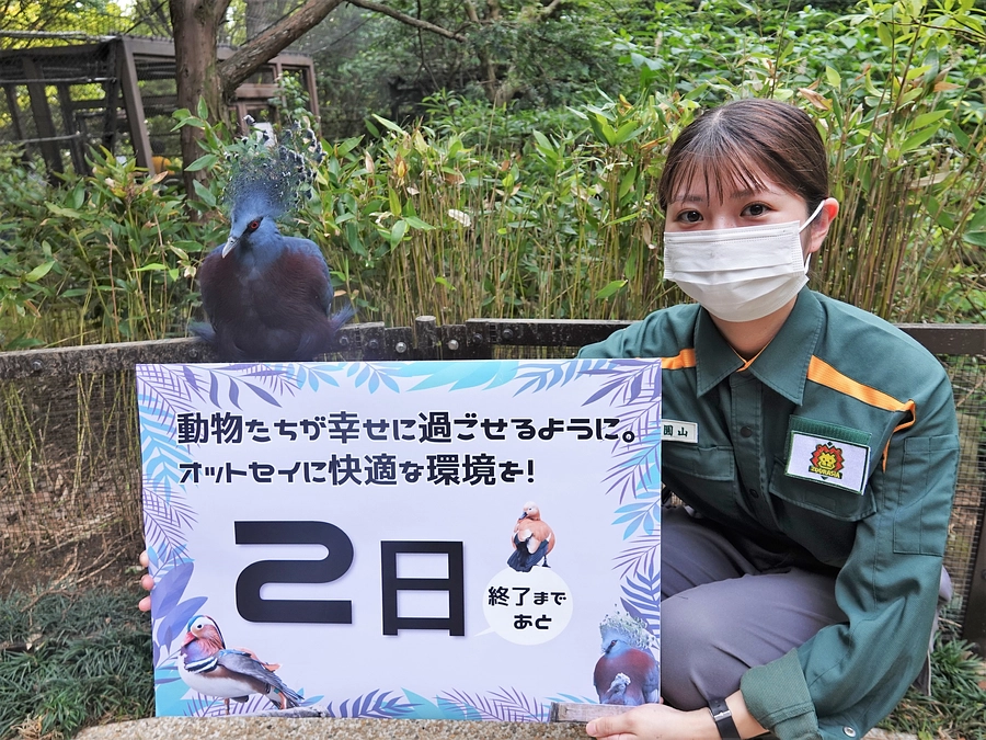 オットセイに快適な環境を！～プロジェクト終了まで【あと2日】～