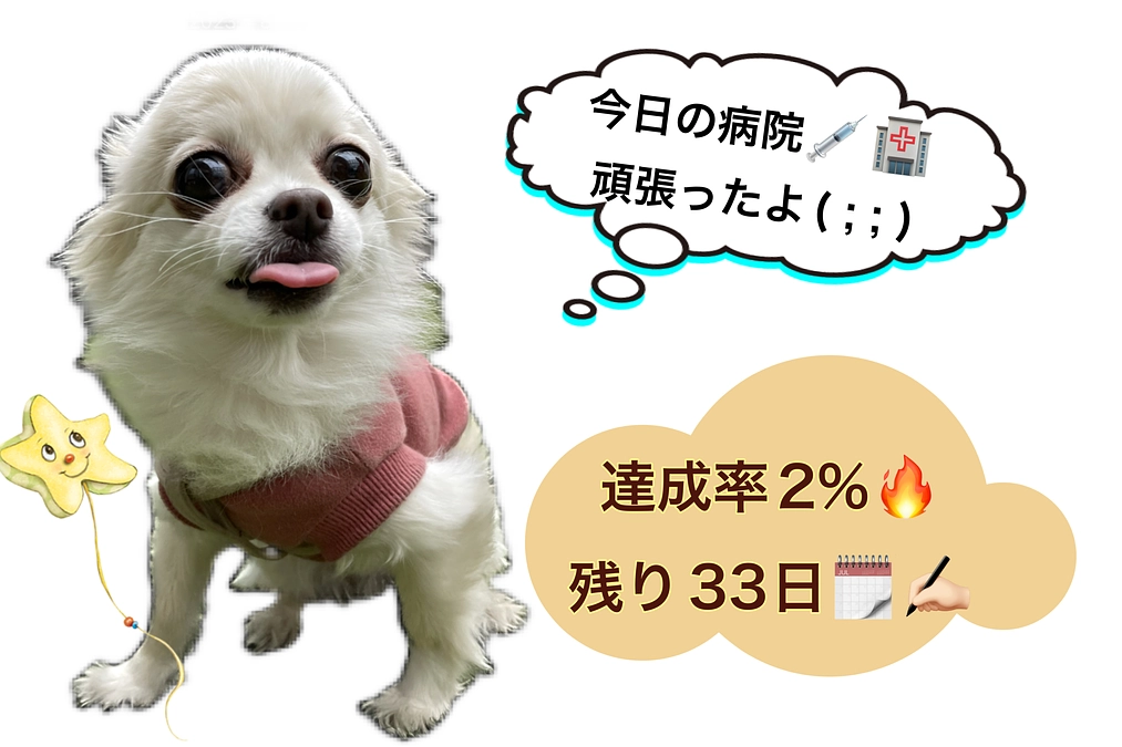 抜糸と血液検査