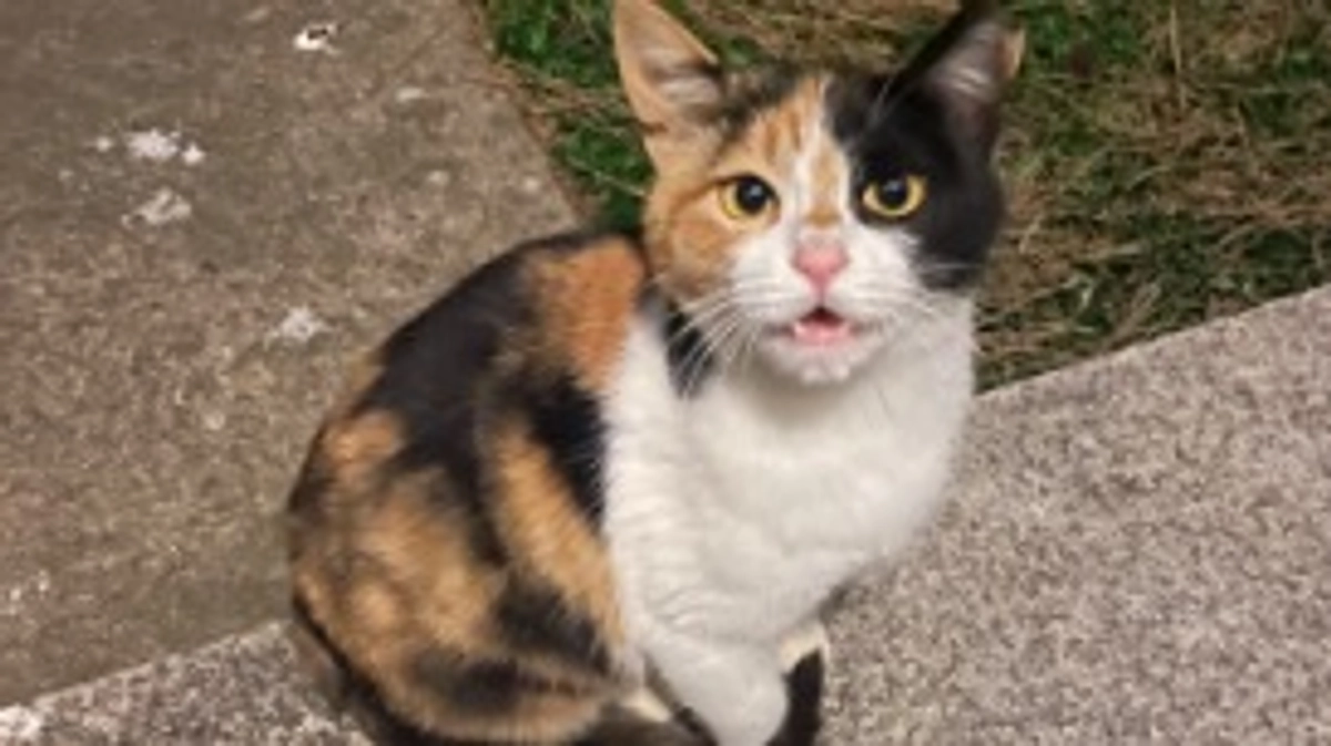 ここまでの活動報告です。