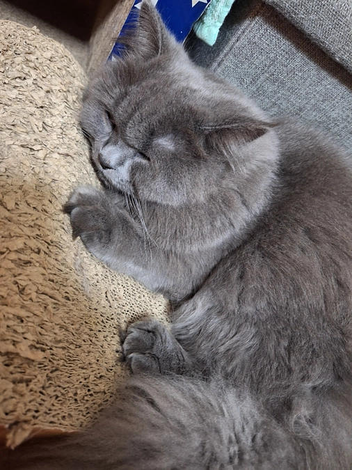 とうとう、あと４日となりました🆘️😭🆘️