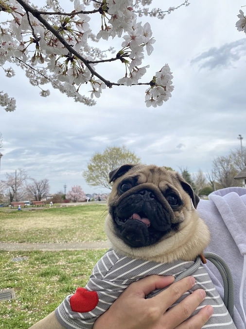 プロジェクト達成しました！ご支援いただきありがとうございました。