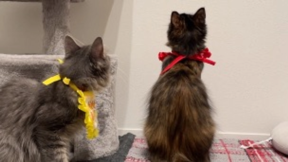 1歳になりました❤️