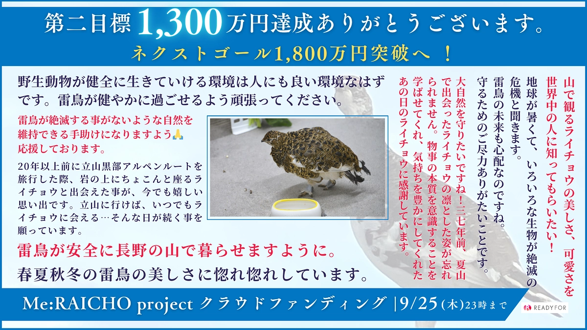 【お礼】第二目標1300万円突破！ネクストゴール1800万円へ！