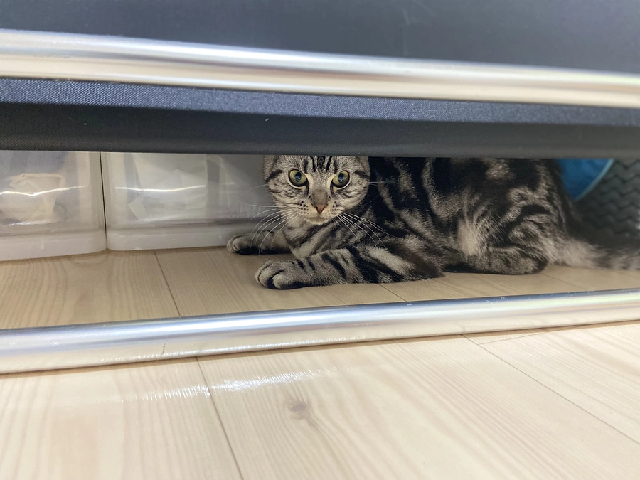 2023.5.13⭐️ #闘病生活 25日目⭐️