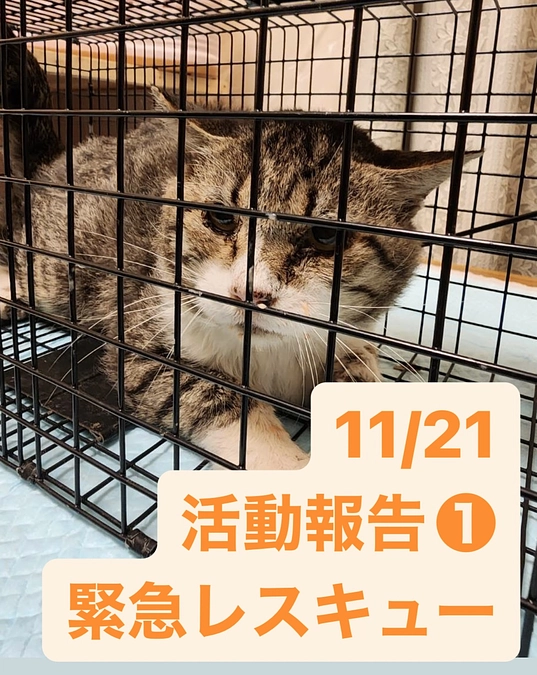 50%達成いたしました‼