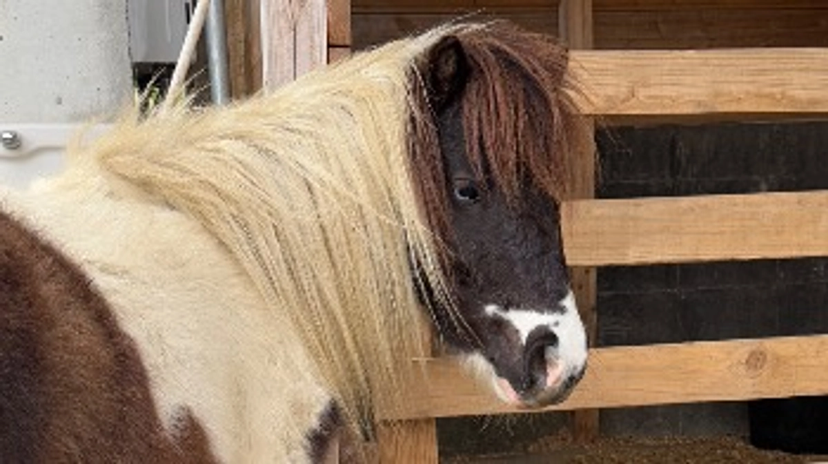 寒いけどみんな元気ですよ