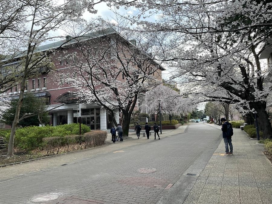 学会に参加しました。今秋は主催者です汗！