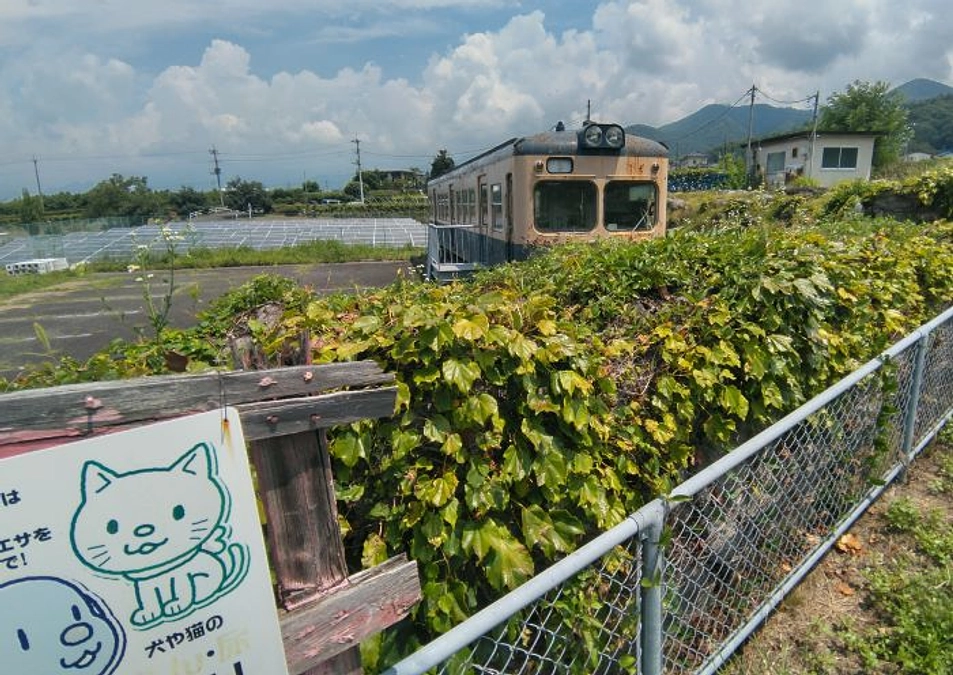 今日は山梨に行って「ネコ」こと2200形に会って来ました。