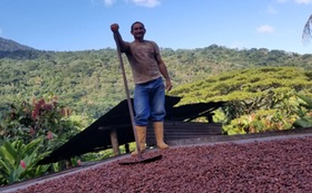 素直に応援したい！というあなたへ