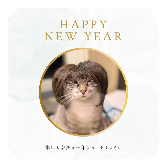 日テレニュースエブリィで放送されました