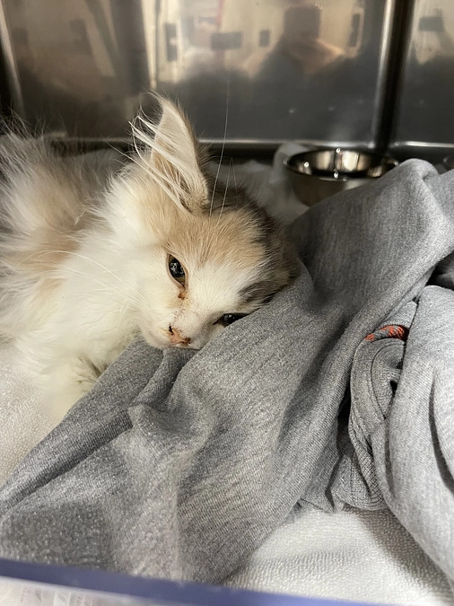 募集期間残り４日😣💦